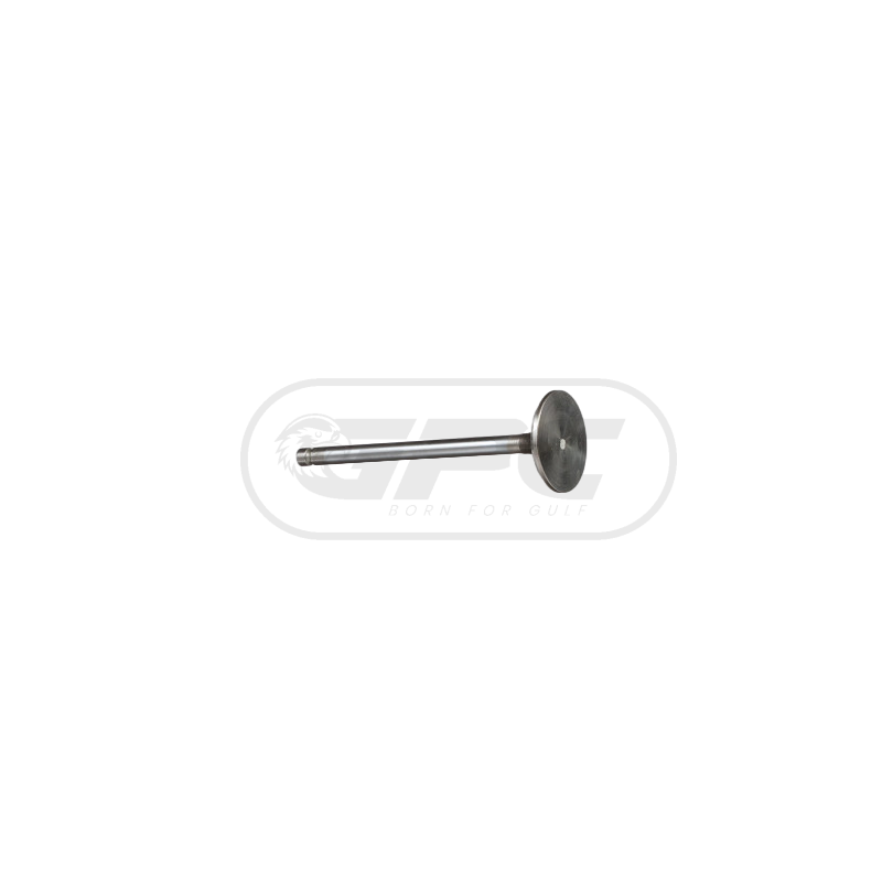 Valve Inlet